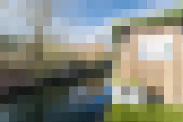 Boomgaard 192 IJsselstein thumbnail 66