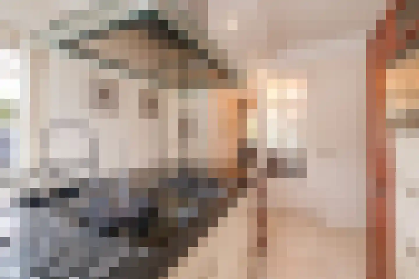 Boomgaard 2 Kampen thumbnail 25