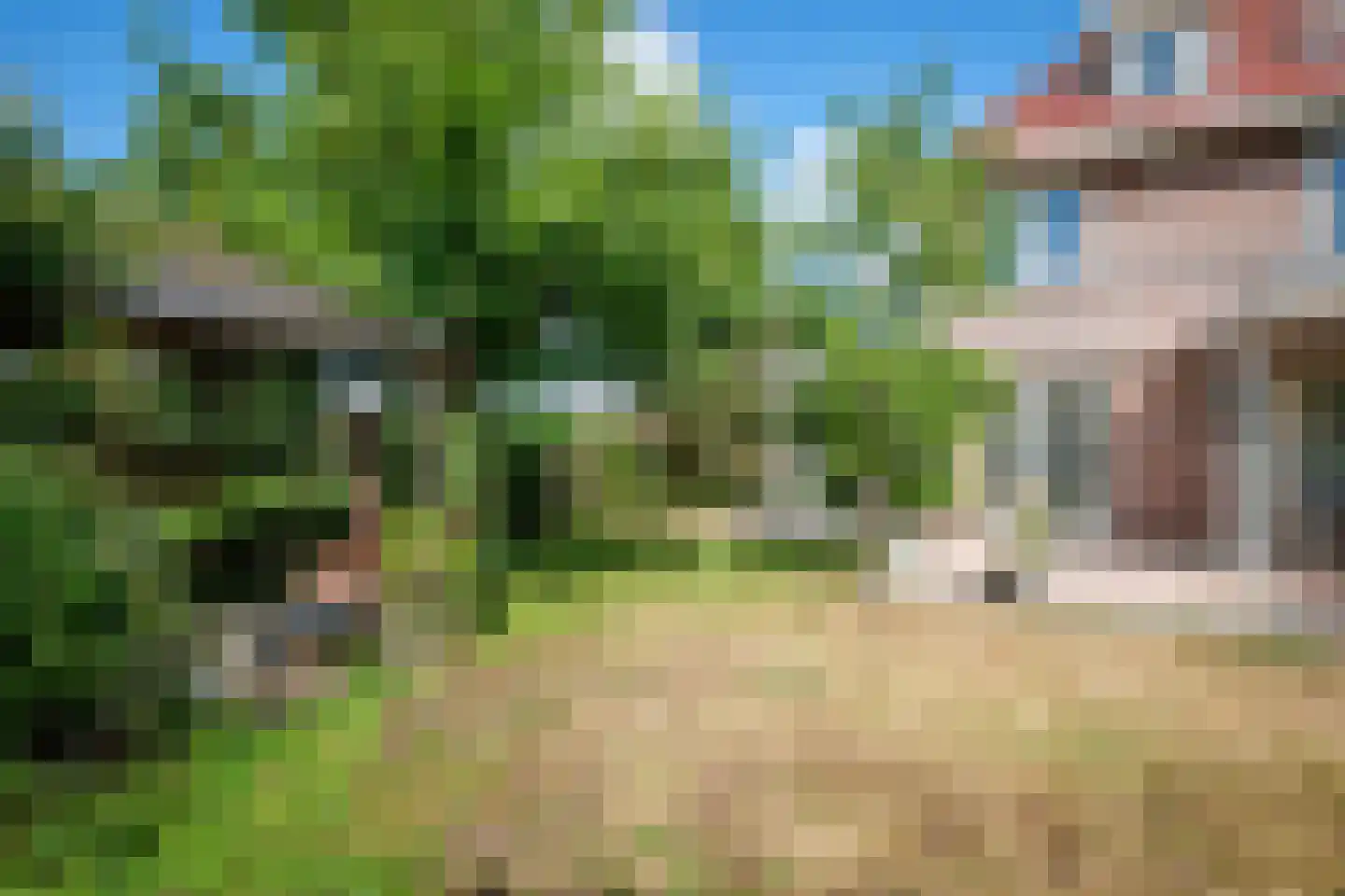 Boomgaard 2 Kampen thumbnail 49