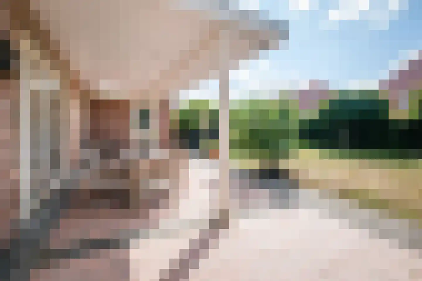 Boomgaard 2 Kampen thumbnail 5