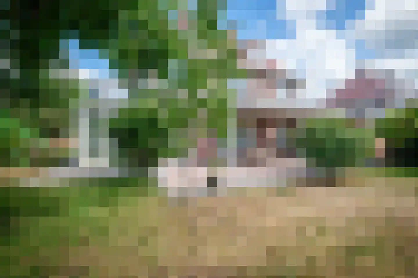 Boomgaard 2 Kampen thumbnail 50