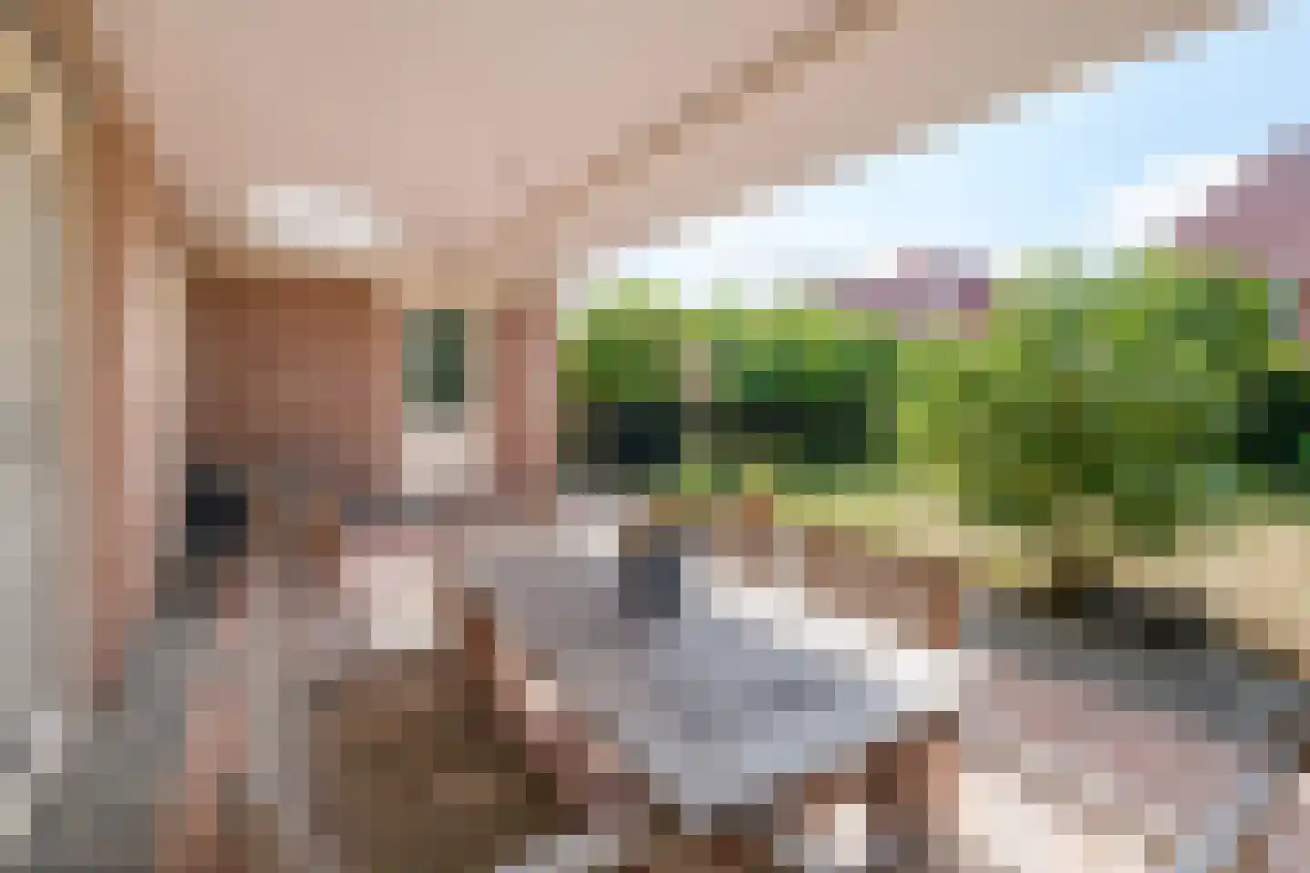Boomgaard 2 Kampen thumbnail 54