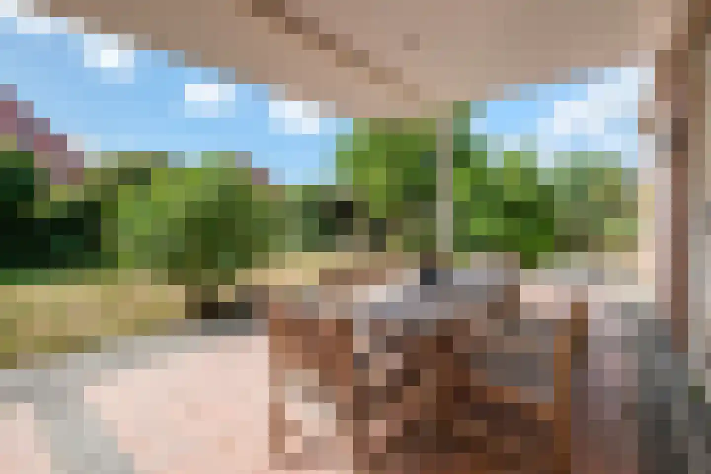 Boomgaard 2 Kampen thumbnail 55