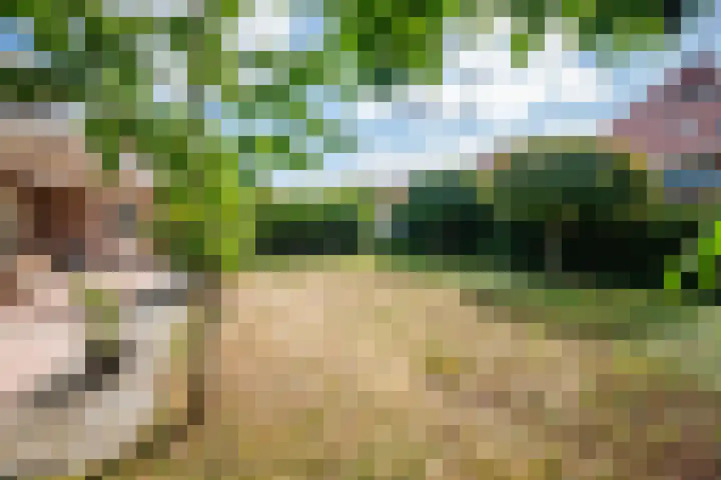 Boomgaard 2 Kampen thumbnail 57