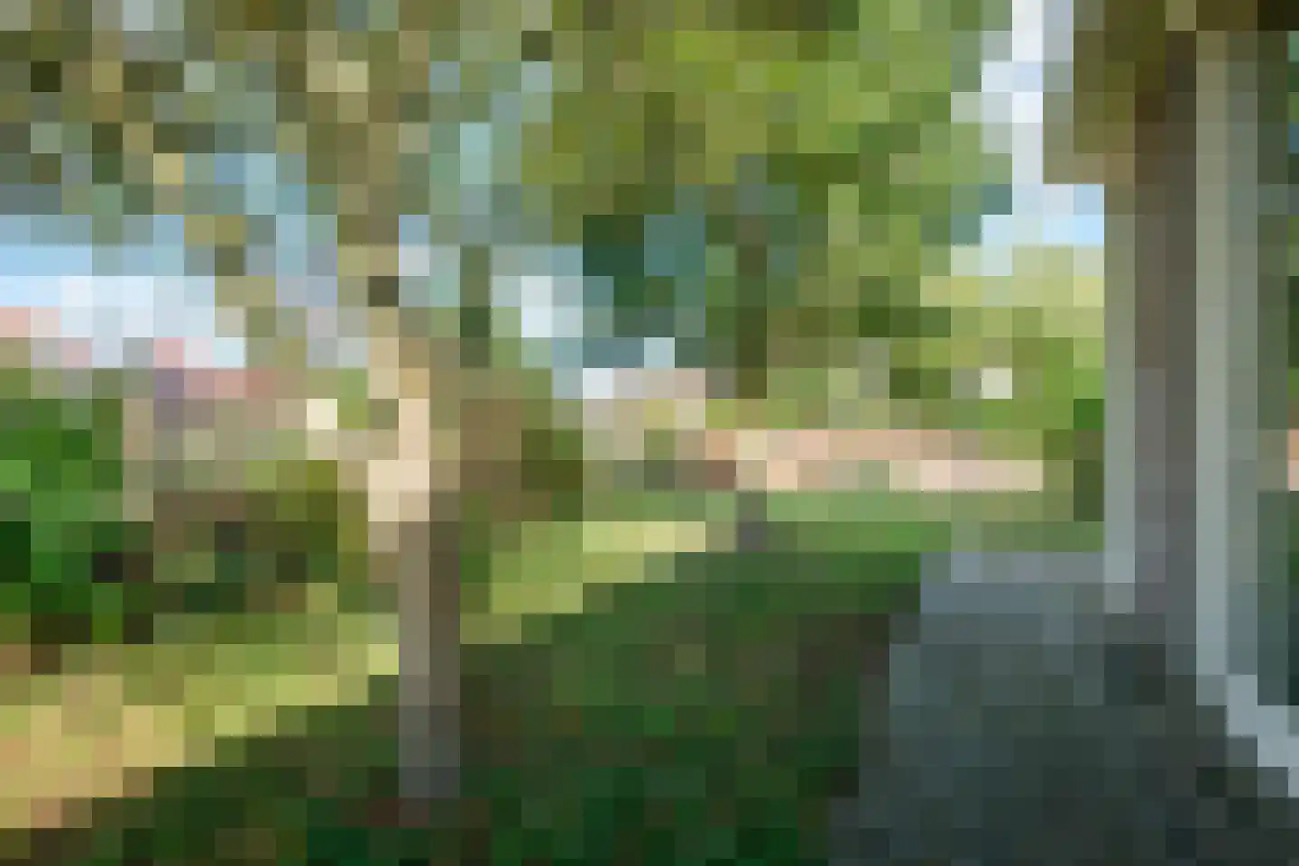 Boomgaard 2 Kampen thumbnail 59