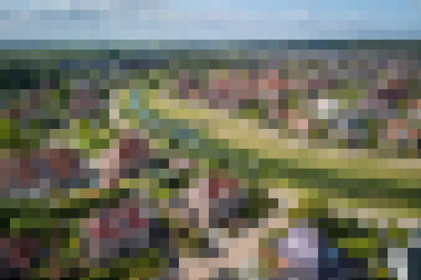 Boomgaard 2 Kampen thumbnail 76