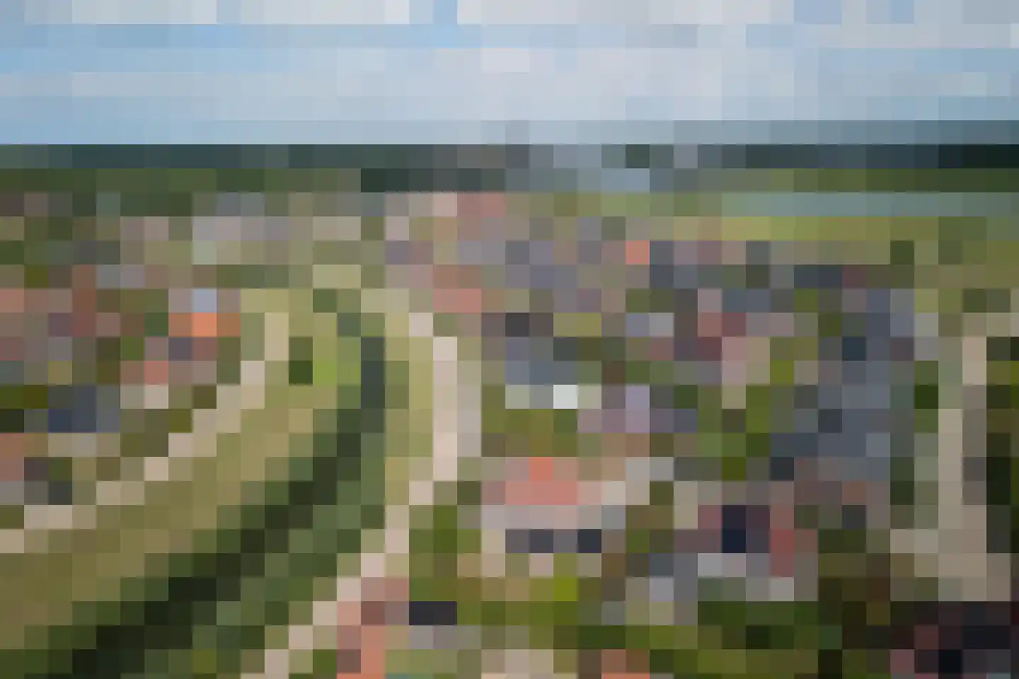 Boomgaard 2 Kampen thumbnail 77