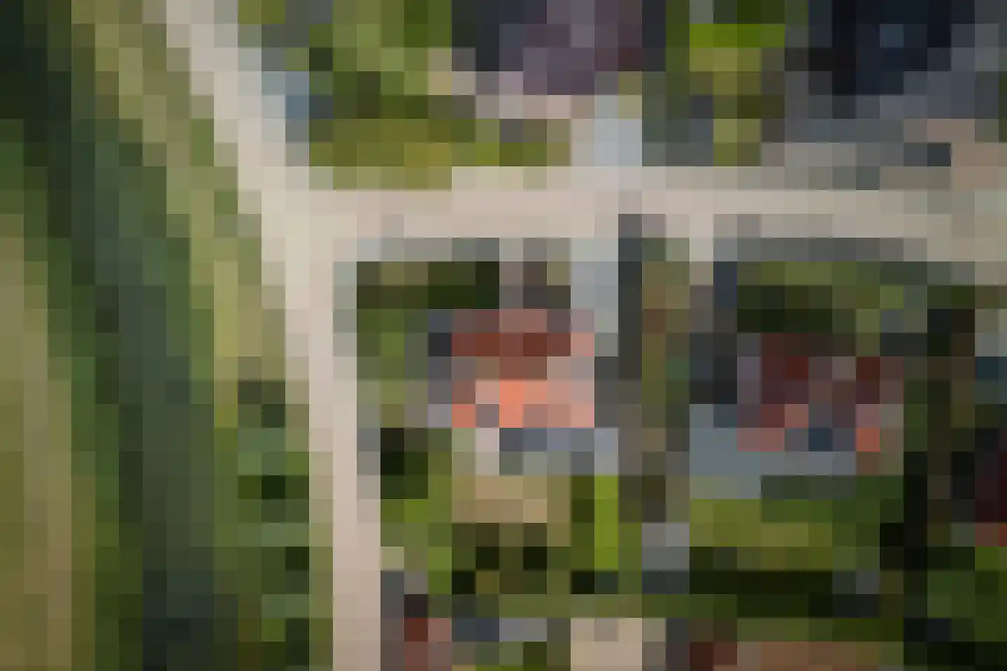 Boomgaard 2 Kampen thumbnail 78