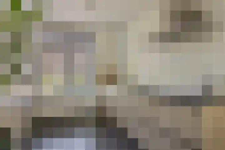 Boomgaard 21 Zundert thumbnail 12