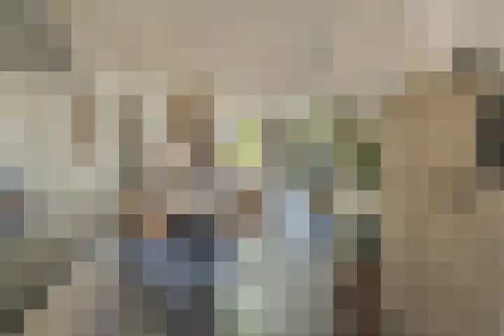 Boomgaard 21 Zundert thumbnail 13