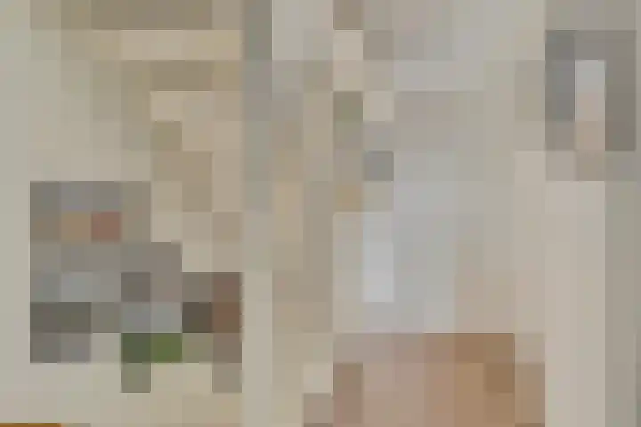 Boomgaard 21 Zundert thumbnail 14