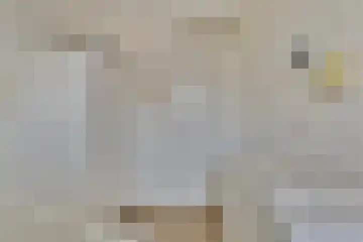 Boomgaard 21 Zundert thumbnail 23