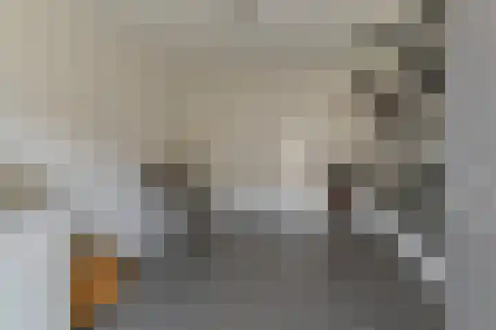 Boomgaard 21 Zundert thumbnail 28