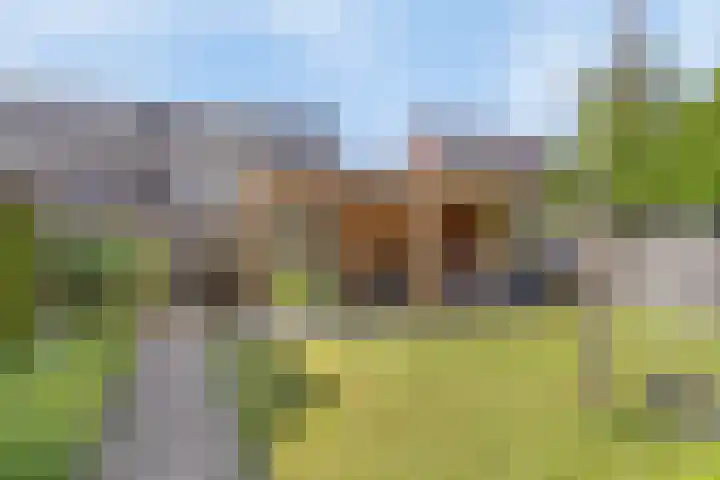 Boomgaard 21 Zundert thumbnail 30