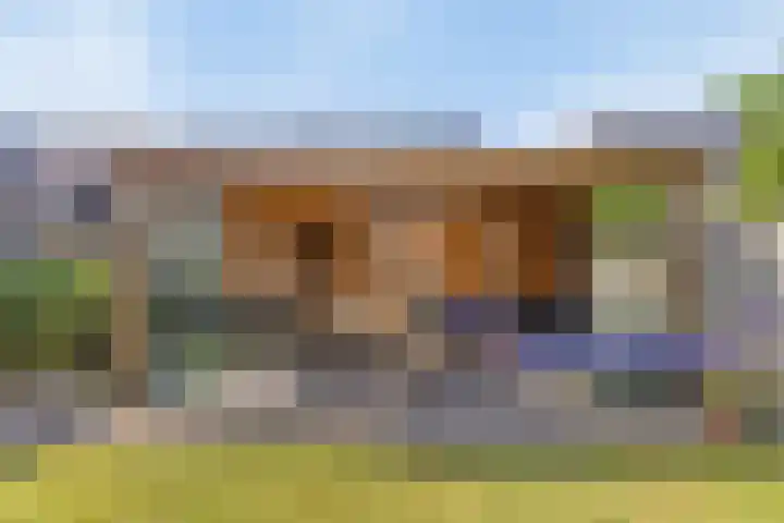 Boomgaard 21 Zundert thumbnail 31