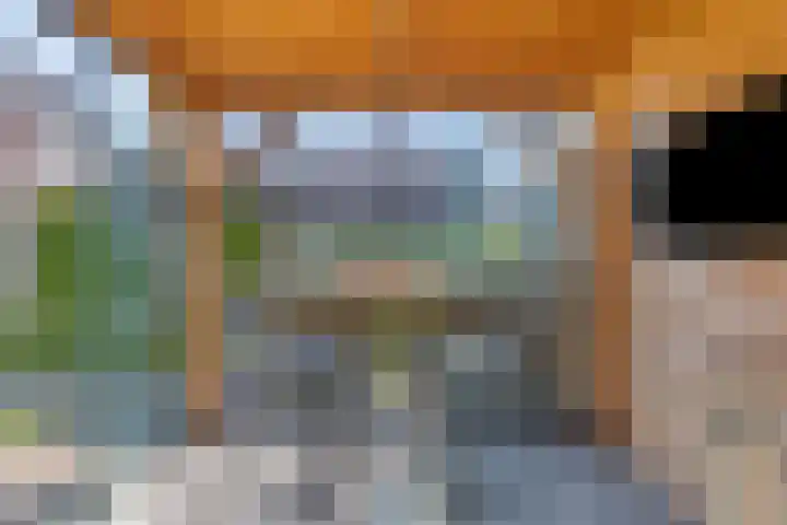 Boomgaard 21 Zundert thumbnail 33
