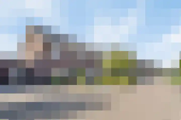 Boomgaard 21 Zundert thumbnail 35