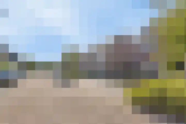 Boomgaard 21 Zundert thumbnail 36