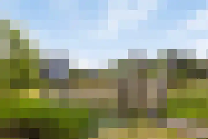 Boomgaard 21 Zundert thumbnail 37