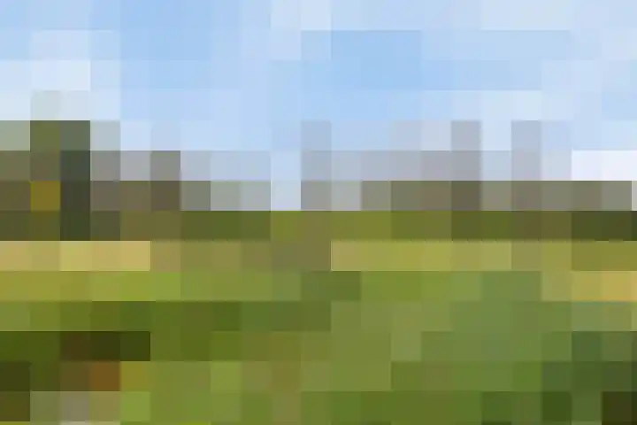 Boomgaard 21 Zundert thumbnail 38