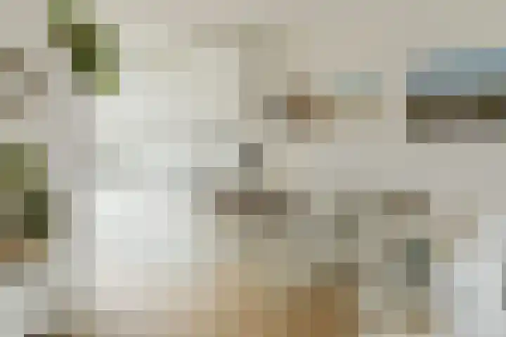 Boomgaard 23 Zundert thumbnail 14
