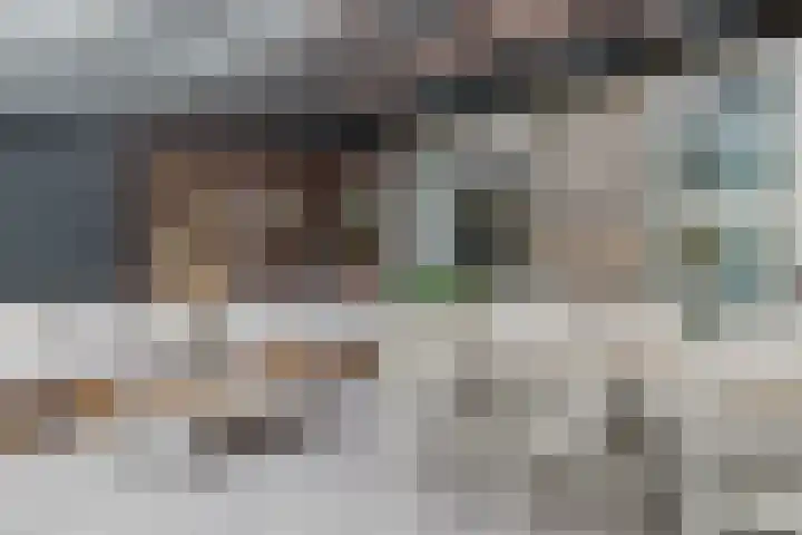 Boomgaard 23 Zundert thumbnail 18