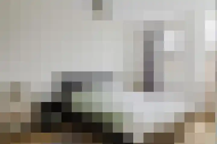 Boomgaard 23 Zundert thumbnail 30