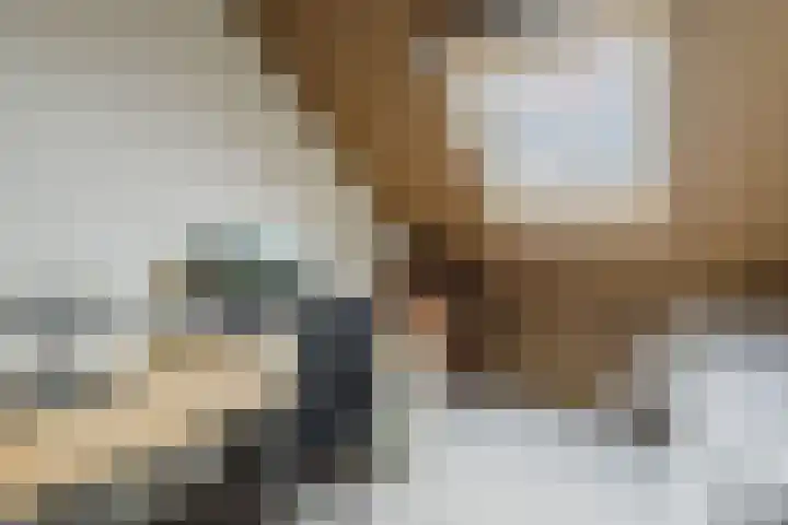 Boomgaard 23 Zundert thumbnail 35