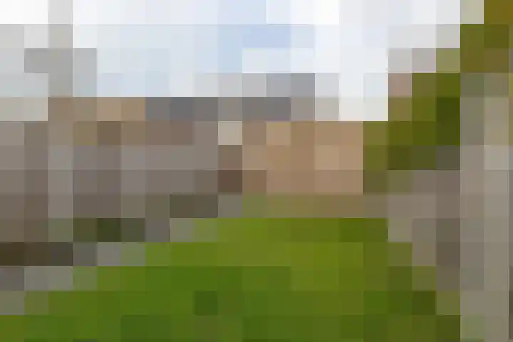 Boomgaard 23 Zundert thumbnail 39
