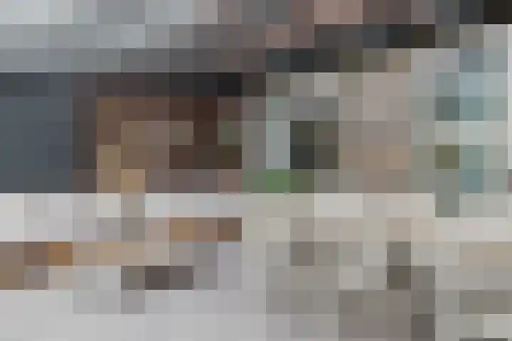 Boomgaard 23 Zundert thumbnail 4