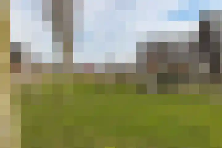 Boomgaard 23 Zundert thumbnail 41