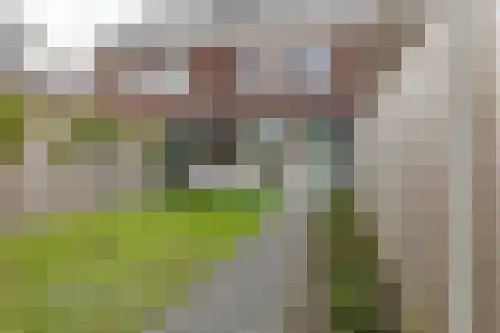 Boomgaard 23 Zundert thumbnail 5