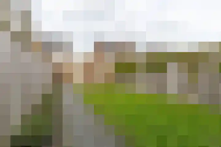 Boomgaard 23 Zundert thumbnail 6