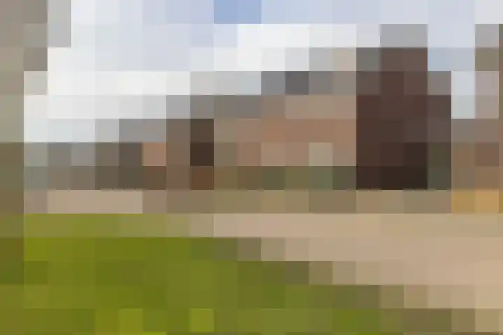Boomgaard 23 Zundert thumbnail 8