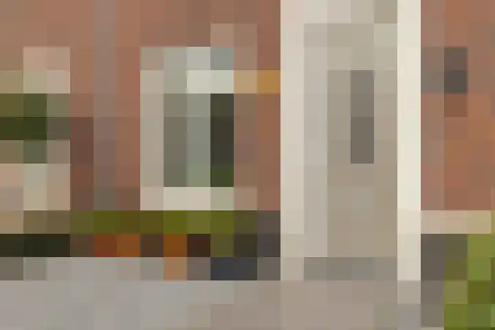 Boomgaard 23 Zundert thumbnail 9