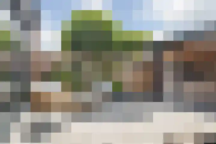 Boomgaard 29 Nieuw-Beijerland thumbnail 29