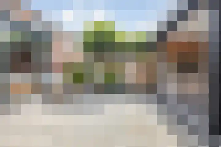 Boomgaard 29 Nieuw-Beijerland thumbnail 30