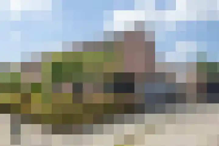 Boomgaard 29 Nieuw-Beijerland thumbnail 33