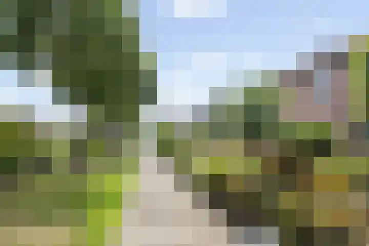 Boomgaard 29 Nieuw-Beijerland thumbnail 34