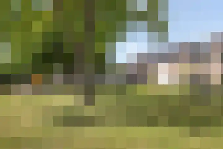 Boomgaard 29 Nieuw-Beijerland thumbnail 36