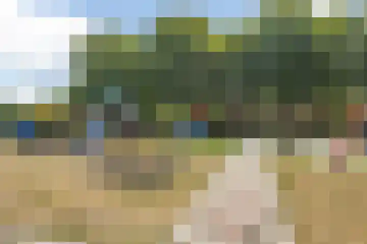 Boomgaard 29 Nieuw-Beijerland thumbnail 37