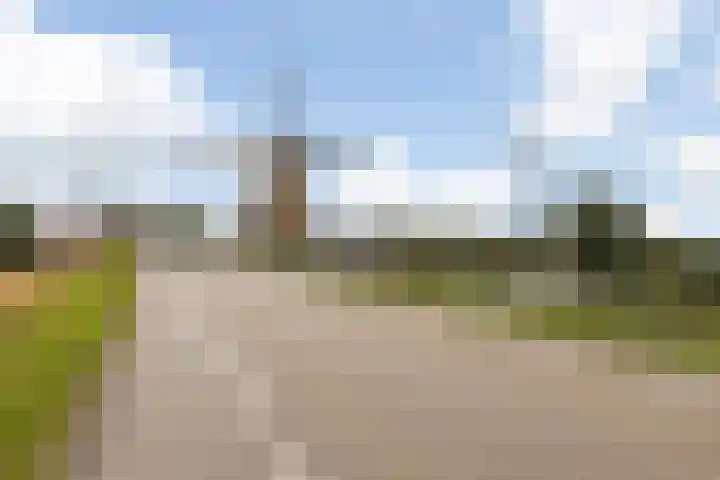 Boomgaard 29 Nieuw-Beijerland thumbnail 38