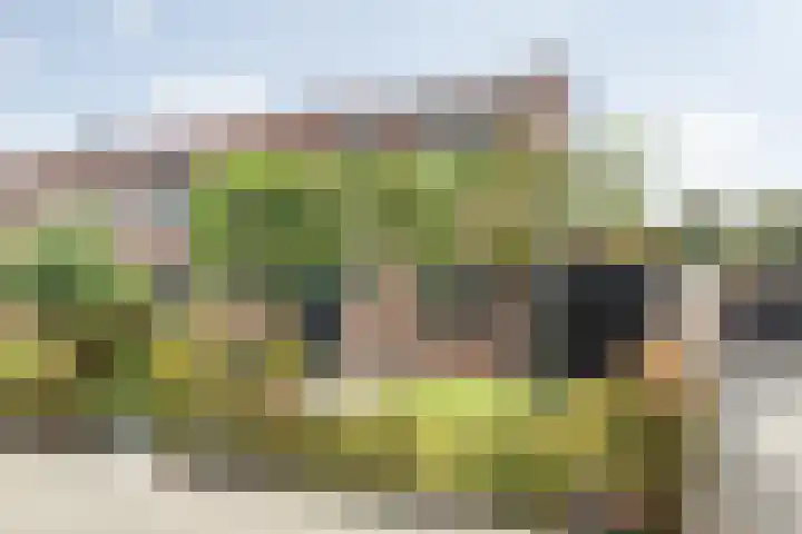 Boomgaard 29 Nieuw-Beijerland thumbnail 43