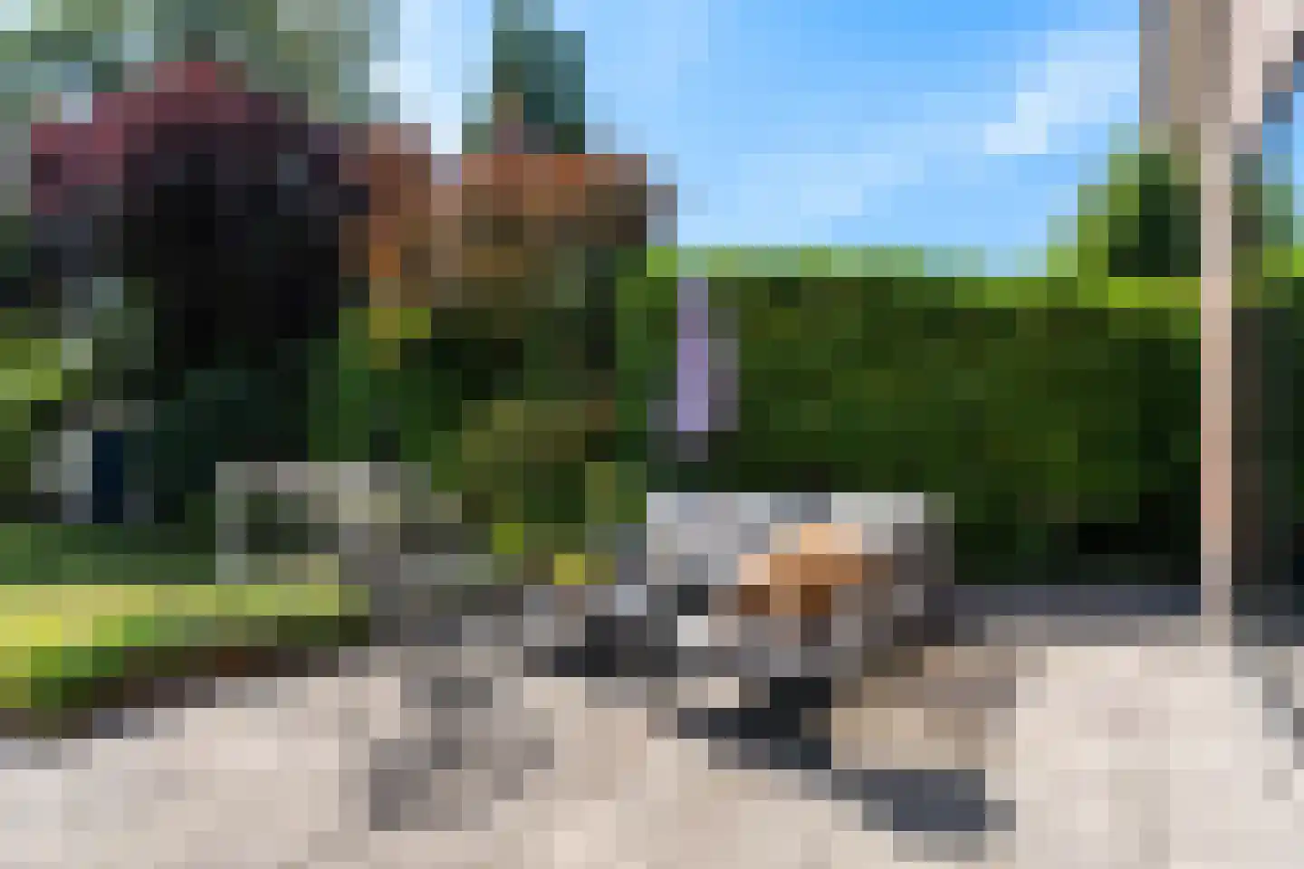 Boomgaard 3 Drimmelen thumbnail 22