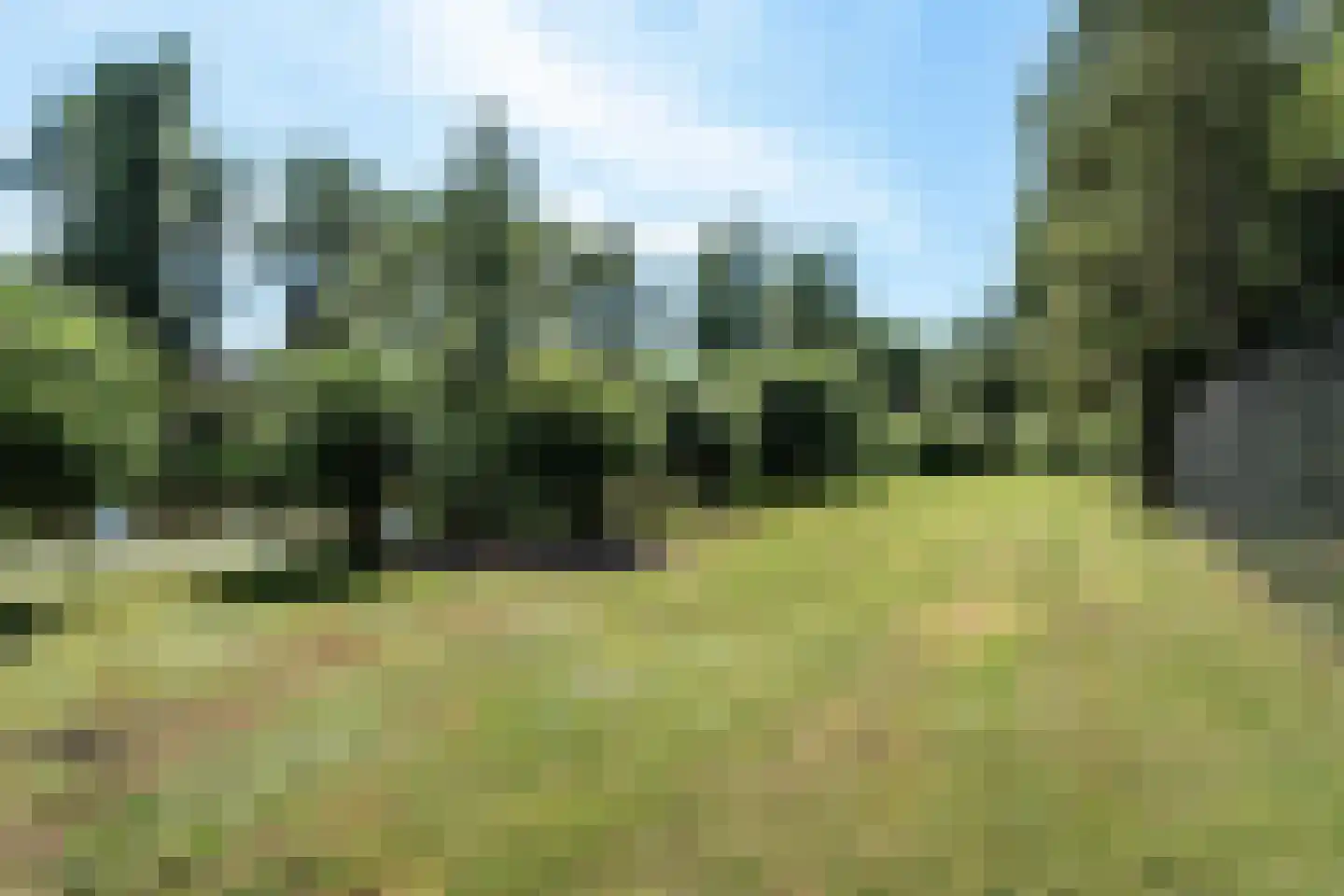 Boomgaard 3 Drimmelen thumbnail 26