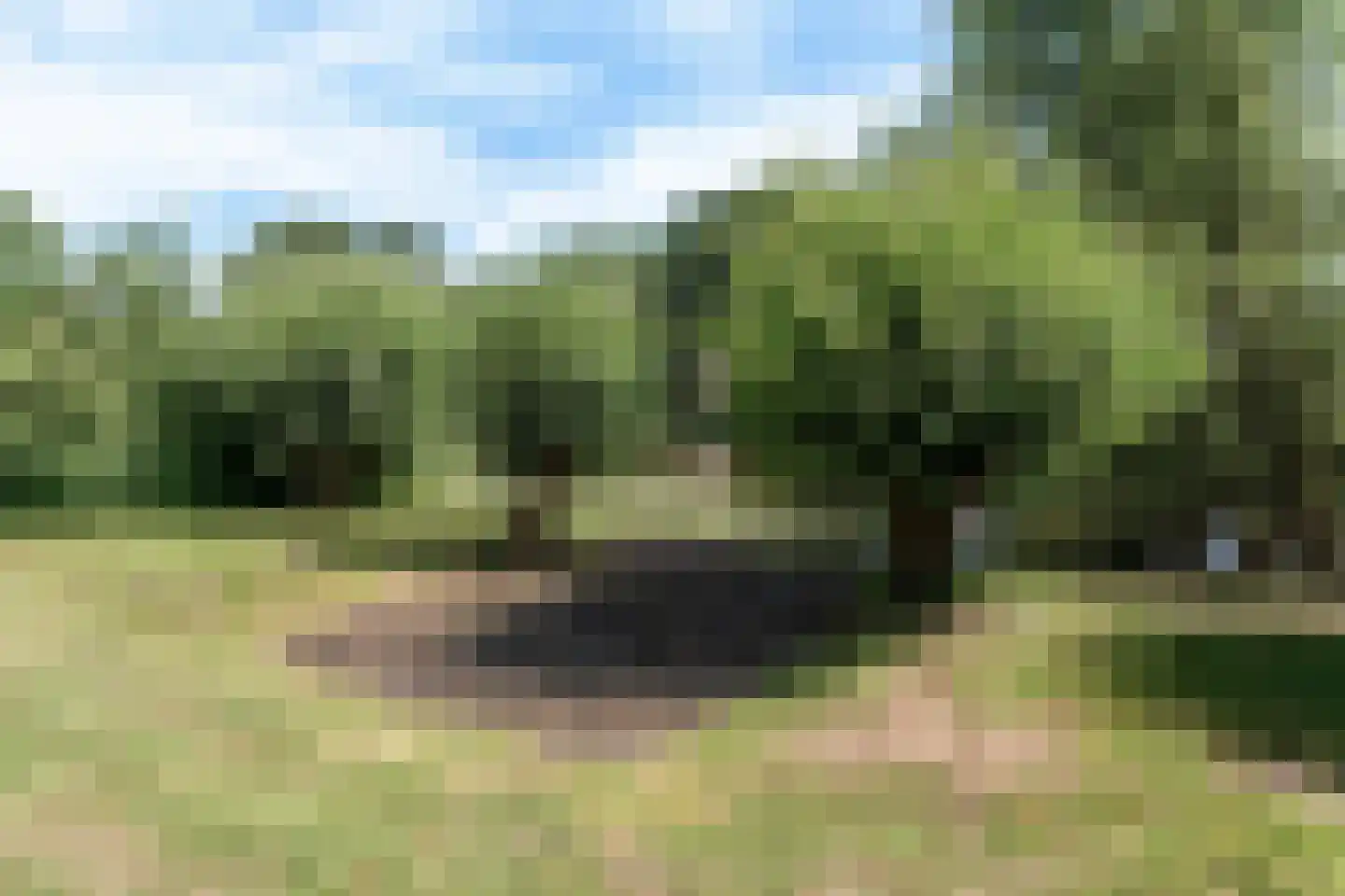 Boomgaard 3 Drimmelen thumbnail 27