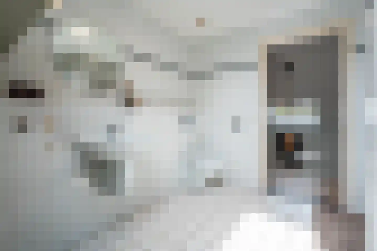 Boomgaard 3 Drimmelen thumbnail 44
