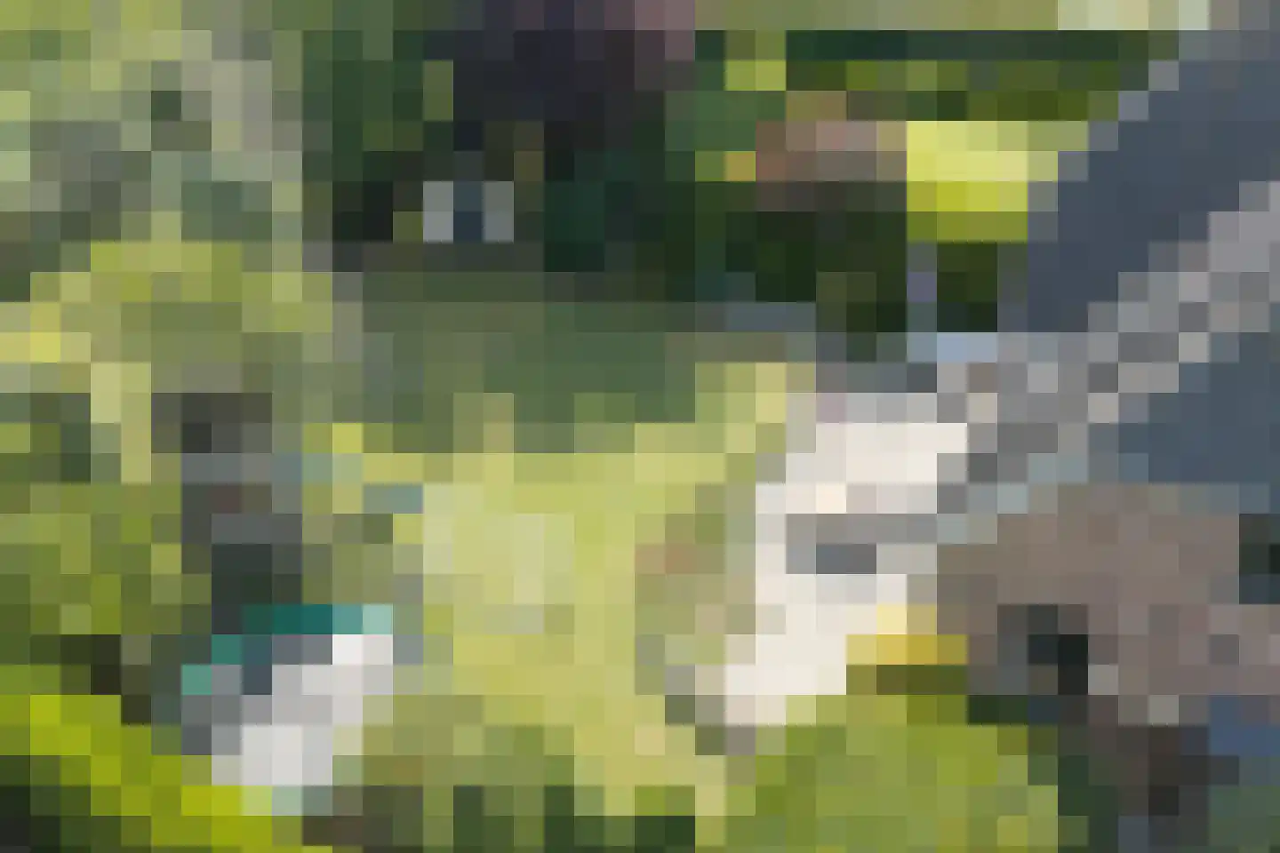 Boomgaard 3 Drimmelen thumbnail 59