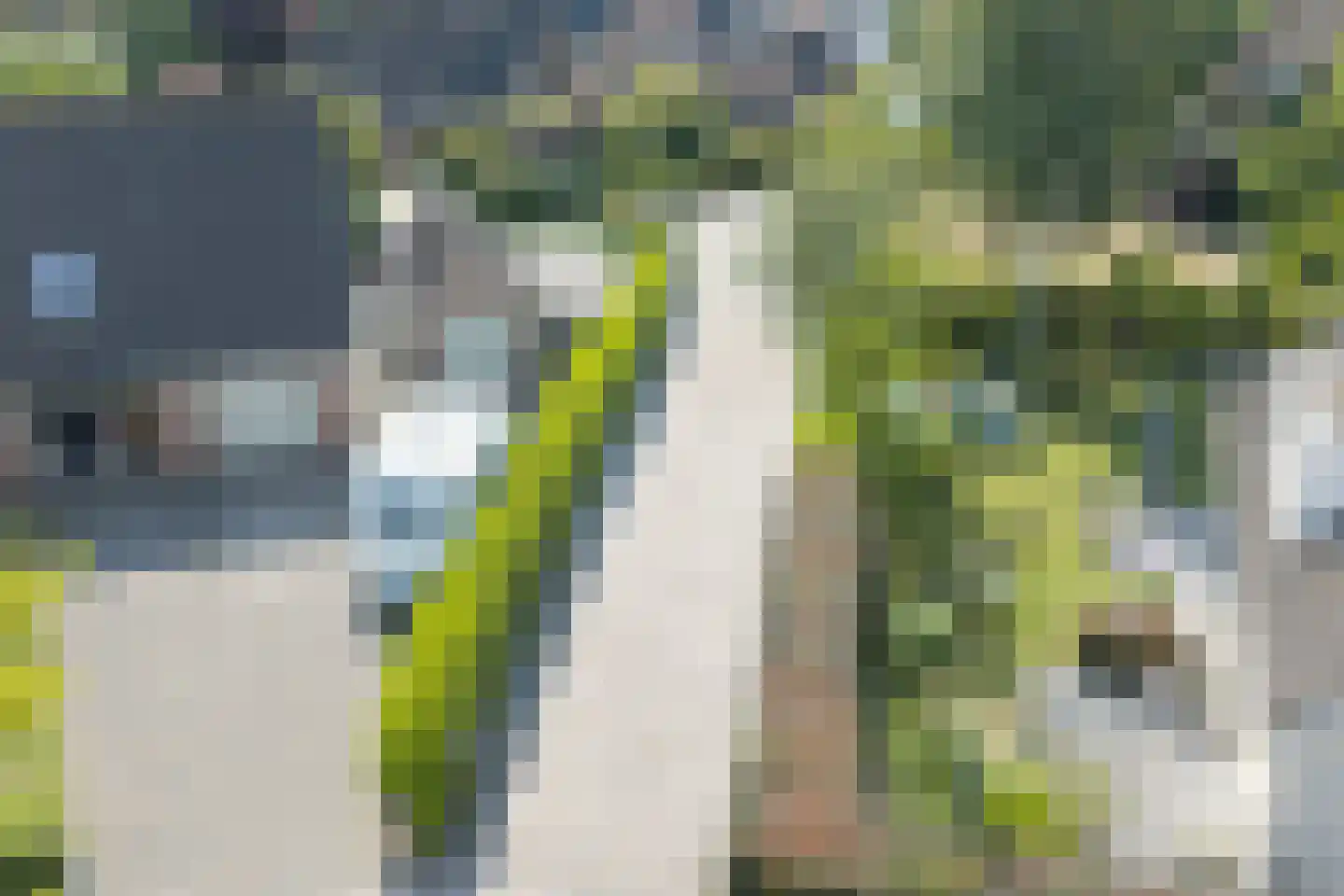 Boomgaard 3 Drimmelen thumbnail 61