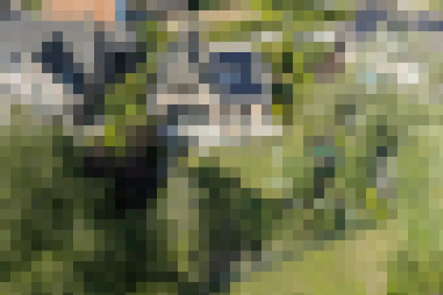 Boomgaard 3 Drimmelen thumbnail 65